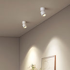 Adjustable Spotlight Anti-Glare 360° Rotating Deep Baffle LED Light