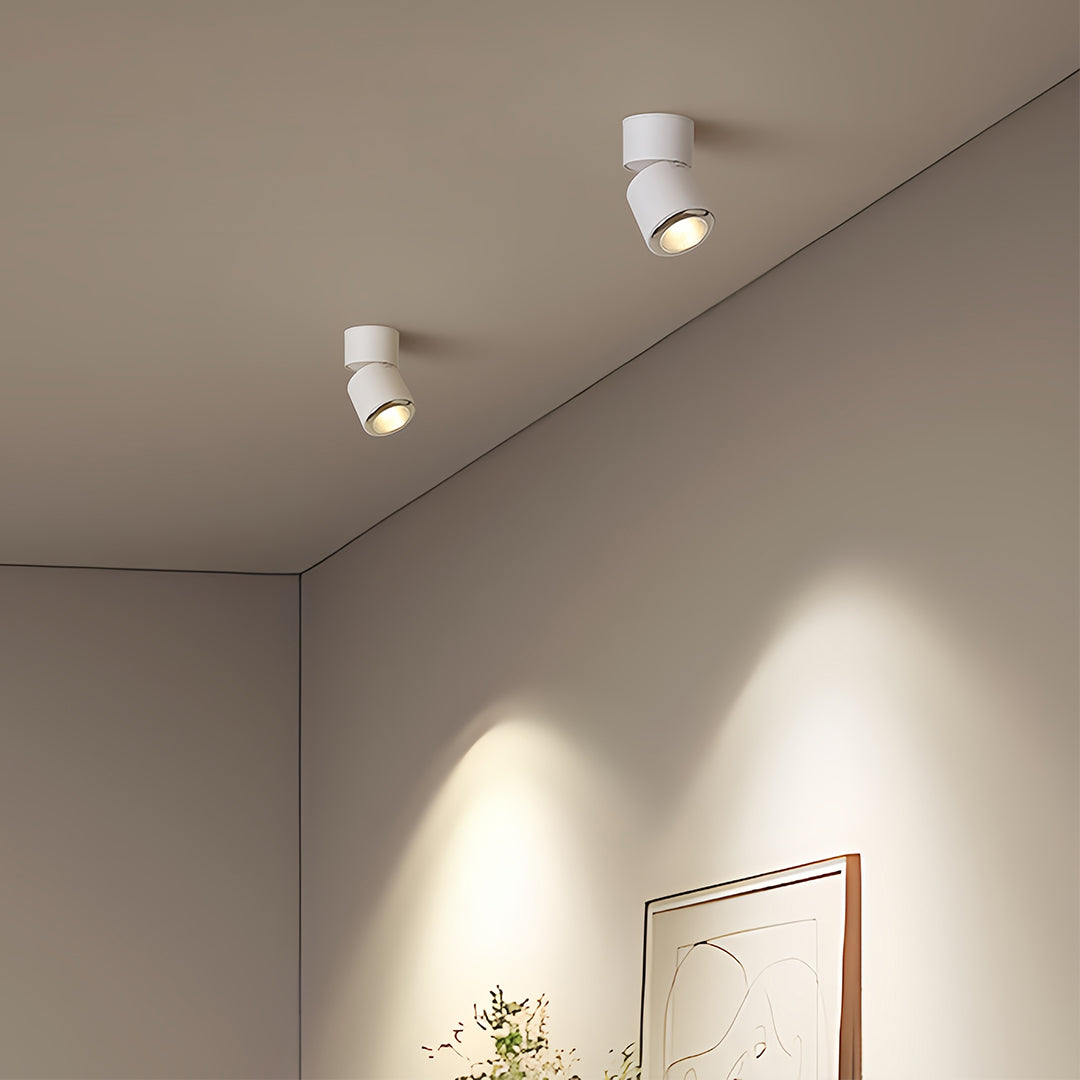 Adjustable Spotlight Anti-Glare 360° Rotating Deep Baffle LED Light