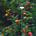 Pathway Outdoor Lighting Landscape Minimalist Ambience Light
