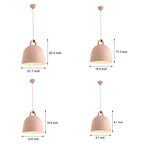Resin Semicircle Bell Minimalist Decorative Art Nordic Chandeliers