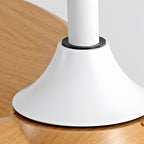 Retro Ceiling Fan with Light Nordic Inverter Metal Lamp Body Fan Light
