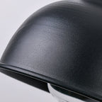Matte Black Gooseneck Light Industrial Outdoor Light