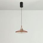 Rise and Fall Pendant Lights Aluminum Acrylic Ceiling Light