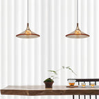 Rise and Fall Pendant Lights Aluminum Acrylic Ceiling Light