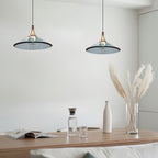 Rise and Fall Pendant Lights Aluminum Acrylic Ceiling Light