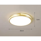 Minimalist Round Dimmable LED Gold Modern Flush Mount Ceiling Light