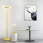 Colored Floor Lamp Modern Macaron Round Head Dimmable Standing Lamp