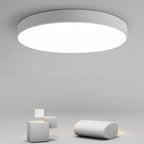 Simple Flush Mount Ceiling Light Round Modern Light