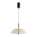 Clear Glass Pendant Lights for Kitchen Island Spectrum Ceiling Light