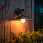 Outdoor Wall Lights Vintage Waterproof LED Iron Light