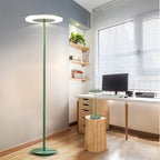 Colored Floor Lamp Modern Macaron Round Head Dimmable Standing Lamp