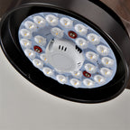 3 Blade Ceiling Fan With Light Quiet Dc Motor Ceiling Fan with Remote