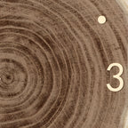 Tree Stump Wall Clock Farmhouse Wood Slice LED Light