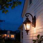 Vintage Outdoor Sconce Black Aluminum Body Waterproof Lamp