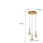 Circle Cylinder LED Gold Nordic Pendant Light Hanging Lamp