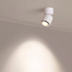 Adjustable Spotlight Anti-Glare 360° Rotating Deep Baffle LED Light