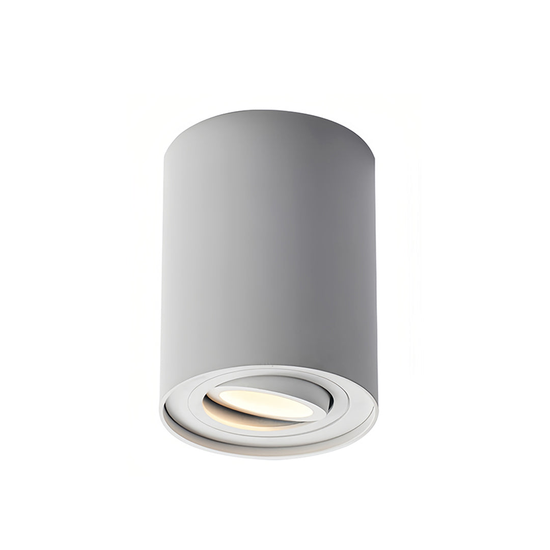 Surface Mounted Downlight Modern Cylindrical Black LED Ceiling Light