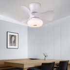Macaron Ceiling Fan with Light Modern Decoration LED Light