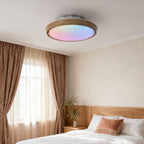 Ceiling Fan Modern with Light LED Simple Round Leafless Dimmable Lamp