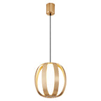 Lantern Pendant Lights Contemporary LED Minimalist Ceiling Lights