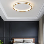 Minimalist Square Circular Dimmable LED Nordic Ceiling Lights Flush Mount Lighting